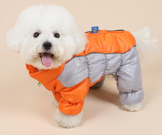 🐾❄️ Reflecterende Waterdichte Warme Hondenjas – Geïntegreerd Harnas, Dikke Isolatie & Veiligheid voor Kleine Honden