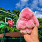 🌞Fris De Lente In Met 50% Korting!🐰 Handgemaakte Zachte Konijnen PomPom Sleutelhanger – Imitatiebont & Schattig Tasaccessoire!