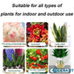 🪴Koop 3 voor 5 (8 flessen）🌼🌱 Plantengroeibevorderaar – Snelle wortels, weelderige bloemen en gezonde groenten in 7 dagen!✨