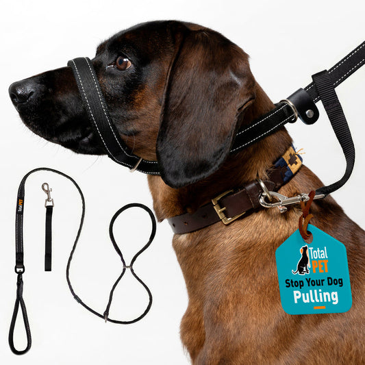 ❄️Zomerfresh 50% Korting!🐕Gevoerde 8-vormige hondenriem – trekontmoedigende trainingsriem met veiligheidbevestiging aan de halsband