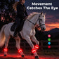 🎃Halloween-Aanbieding 50% Korting!🐎LED-Horsebeenbanden – Licht Op Bij Elke Stap (Set Van 4)