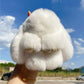 🌞Fris De Lente In Met 50% Korting!🐰 Handgemaakte Zachte Konijnen PomPom Sleutelhanger – Imitatiebont & Schattig Tasaccessoire!