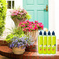🎉Nieuwjaars Cadeau 50% KORTING!🌱Universele Vloeibare Plantenvoeding: Laag Onderhoud & Rijke Voedingsstoffen – Voor Binnen- & Buitenplanten!