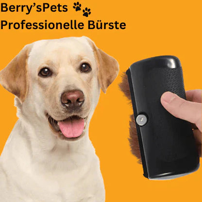 🌞Fris De Lente In Met 50% Korting!🐶GlowBrush™ Ergonomische Ontklitborstel voor Honden – Zachte Massage, Minder Losse Haren & Een Glanzende Vacht