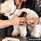 🌞Fris De Lente In Met 50% Korting!🐶GlowBrush™ Ergonomische Ontklitborstel voor Honden – Zachte Massage, Minder Losse Haren & Een Glanzende Vacht