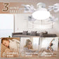 🌞Fris De Lente In Met 50% Korting!💡E27 Plafondventilator met LED Lamp - 2-in-1 Design - Geen Installatie Nodig (Plug & Play) - 3 Lichtstanden & Timer - Met Afstandsbediening