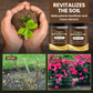 ✨ Bodem Activeringsmiddel – Wonderbodem Voor Gezonde Planten, Ontwakkel Bodemkracht & Stimuleer Groei!