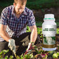 ✨ Snelle Sterke Wortelgroei Meststof – Laat Je Planten Sterker & Gezonder Groeien, In Korte Tijd!