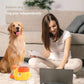 🐾 2-in-1 Interactief Hond Puzzel Speelgoed & Langzaam Voerbak – Stimuleer de Geest & Maak Eten Leuker!