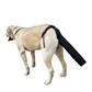 Comfortable & Adjustable Dog Tail Protector