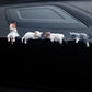 ❄️Zomerfresh 50% Korting!🐱Schattige Mini Katten Versiering: Perfect Voor Auto, Huis & Kantoor – Speelse Charm Overal Waar Je Bent!