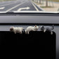 ❄️Zomerfresh 50% Korting!🐱Schattige Mini Katten Versiering: Perfect Voor Auto, Huis & Kantoor – Speelse Charm Overal Waar Je Bent!