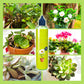 🎉Nieuwjaars Cadeau 50% KORTING!🌱Universele Vloeibare Plantenvoeding: Laag Onderhoud & Rijke Voedingsstoffen – Voor Binnen- & Buitenplanten!