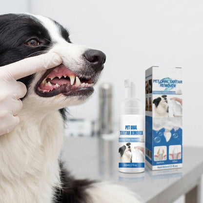 💘Valentijnsaanbieding: 50% Korting!🐾Schuimende Tandsteenverwijderaar voor Huisdieren – Natuurlijke Formule & Moeiteloos Gebruik!