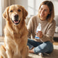 💘Valentijnsaanbieding: 50% Korting!🐾Schuimende Tandsteenverwijderaar voor Huisdieren – Natuurlijke Formule & Moeiteloos Gebruik!