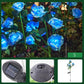 🌞Fris De Lente In Met 50% Korting!🌸Solar Rozen Tuinstekers | Sfeervolle LED Tuinverlichting op Zonne-energie | Waterdicht & Automatisch (Zonder Bedrading)