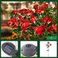 🌞Fris De Lente In Met 50% Korting!🌸Solar Rozen Tuinstekers | Sfeervolle LED Tuinverlichting op Zonne-energie | Waterdicht & Automatisch (Zonder Bedrading)