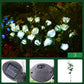 🌞Fris De Lente In Met 50% Korting!🌸Solar Rozen Tuinstekers | Sfeervolle LED Tuinverlichting op Zonne-energie | Waterdicht & Automatisch (Zonder Bedrading)