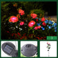 🌞Fris De Lente In Met 50% Korting!🌸Solar Rozen Tuinstekers | Sfeervolle LED Tuinverlichting op Zonne-energie | Waterdicht & Automatisch (Zonder Bedrading)