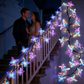 🌞Fris De Lente In Met 50% Korting!🦋Magische Vlinder Lichtrank (1,6m) | Buigbaar LED Lichtsnoer met 36 Lampjes & 8 Modi | Esthetische Sfeerverlichting