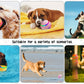 🌞Fris De Lente In Met 50% Korting!🐶Actieve Rollende Hondenbal - Interactief & Bijtbestendig - Slimme Modus - Voorkom Verveling & Sloopgedrag - Milieuvriendelijk TPR Rubber