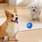 🌞Fris De Lente In Met 50% Korting!🐶Actieve Rollende Hondenbal - Interactief & Bijtbestendig - Slimme Modus - Voorkom Verveling & Sloopgedrag - Milieuvriendelijk TPR Rubber