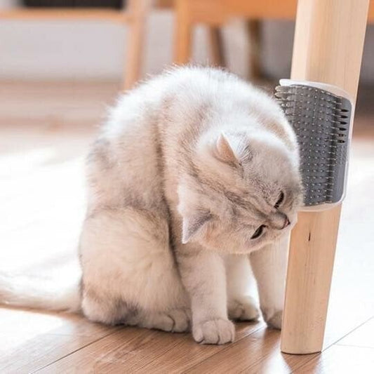🌞Fris De Lente In Met 50% Korting!🐱Zelfreinigende Katten Massageborstel voor Hoeken – Verwijdert Losse Haren & Ontspant Je Kat