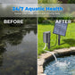❄️Zomerfresh 50% Korting!🐟Solar Vijverbeluchter met Luchtpomp – Zonne-energie Zuurstofpomp voor Gezonde Vijver, Vissen & Waterplanten
