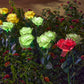 ❄️Zomerfresh 50% Korting!🌹Solar Rozen Tuinlampen – Decoratieve Zonne-energie Bloemenlampen voor Tuin, Terras & Balkon