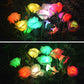 ❄️Zomerfresh 50% Korting!🌹Solar Rozen Tuinlampen – Decoratieve Zonne-energie Bloemenlampen voor Tuin, Terras & Balkon