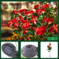 ❄️Zomerfresh 50% Korting!🌹Solar Rozen Tuinlampen – Decoratieve Zonne-energie Bloemenlampen voor Tuin, Terras & Balkon