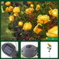 ❄️Zomerfresh 50% Korting!🌹Solar Rozen Tuinlampen – Decoratieve Zonne-energie Bloemenlampen voor Tuin, Terras & Balkon