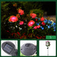 ❄️Zomerfresh 50% Korting!🌹Solar Rozen Tuinlampen – Decoratieve Zonne-energie Bloemenlampen voor Tuin, Terras & Balkon