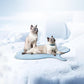 ❄️Zomerfresh 50% Korting!❄️Bladvormige Wasbare Koelmat voor Hond & Kat – Zachte Huisdiermat zonder Water of Stroom