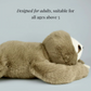 🎃Halloween-Aanbieding 50% Korting!🦥Verzwaarde Knuffel-luiaard – Zacht, Knus Knuffelmaatje